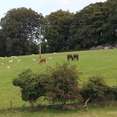 Sycamore Hill Privat bolig *